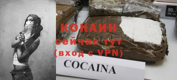 молекула духа Покров
