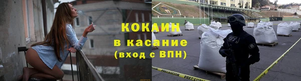 молекула духа Покров