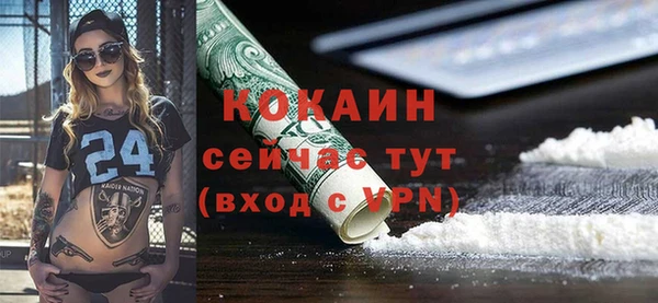 молекула духа Покров