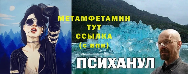 молекула духа Покров