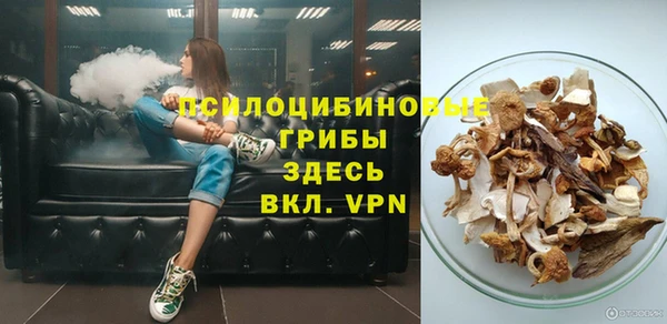 spice Пестово