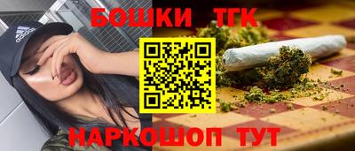 прущие грибы Гатчина
