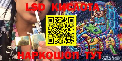 прущие грибы Гатчина