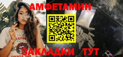 прущие грибы Гатчина