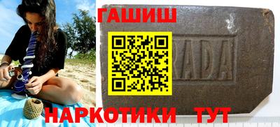 прущие грибы Гатчина