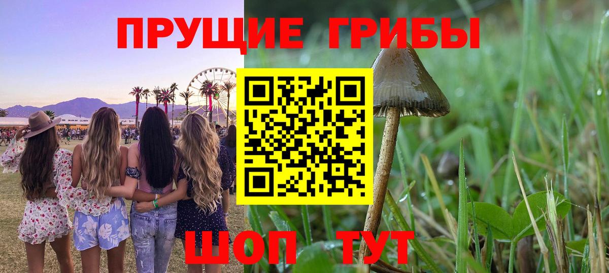 Псилоцибиновые грибы мухоморы Шарыпово