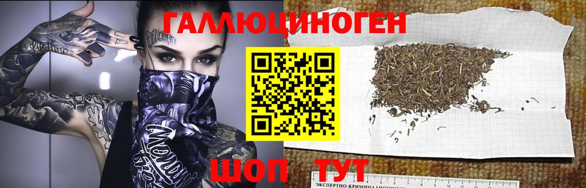 Псилоцибиновые грибы Cubensis Шарыпово