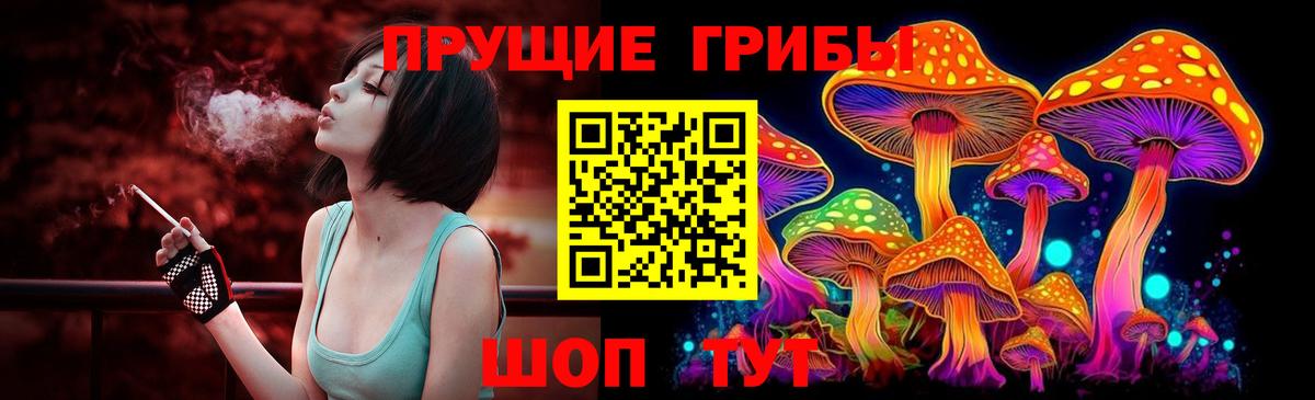 Псилоцибиновые грибы прущие грибы  Вход с VPN  даркнет сайт  Шарыпово 